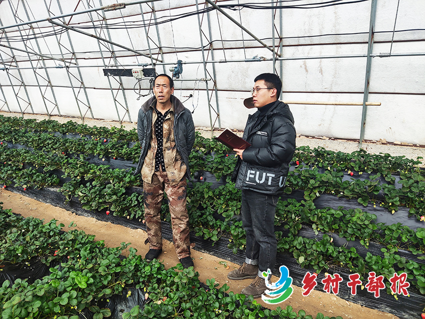 隋陽宏（右）調研草莓產(chǎn)業(yè)發(fā)展情況。2.jpg